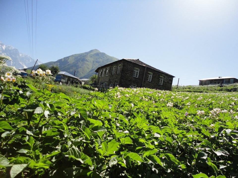 Caucasus Guesthouse 위시굴리 외부 사진